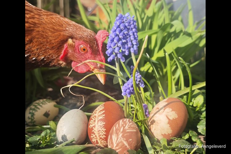 Lente vol natuurbeleving bij MAK Blokweer: Biomarkt en Paasactiviteiten