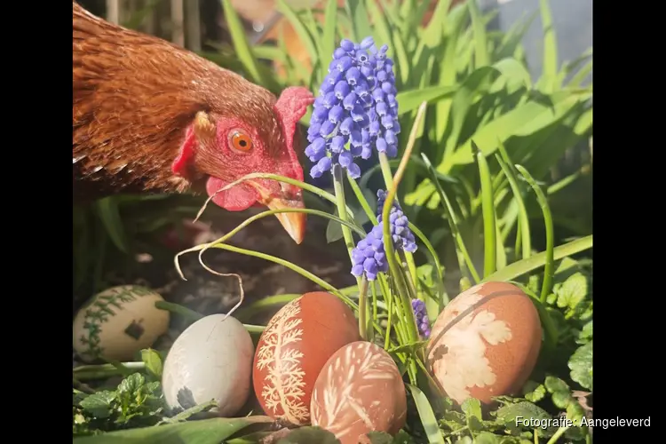 Lente vol natuurbeleving bij MAK Blokweer: Biomarkt en Paasactiviteiten