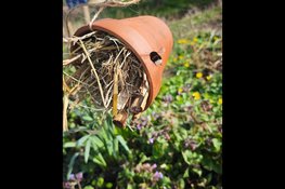 Lente vol natuurbeleving bij MAK Blokweer: Biomarkt en Paasactiviteiten