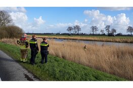 Politie en brandweer zoeken naar uit auto gegooide tas