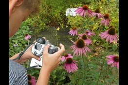 Activiteiten meivakantie bij Hertenkamp Enkhuizen