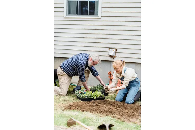 Vergroening rondom huis steeds populairder: hier moet je op letten