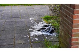 Brand onder trap van flat in Hoorn