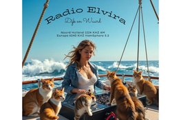 25, 26 en 27 April 10 jarig jubileum Radio Seabreeze vanaf het lichtschip Texel Den Helder