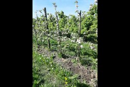 Gezond Westfriesland organiseert excursie en kookworkshop rond lokale biologische producten