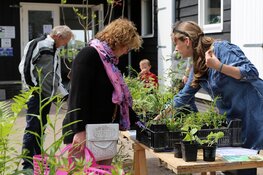 Plantenmarkt bij rundveemuseum in aartswoud op zondag 3 mei