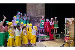 Vier dagen, één musical: laatste kans op korting voor zomers musical project
