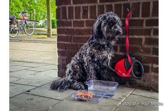 Hondje uren lang vergeten buiten bij supermarkt in Hoorn