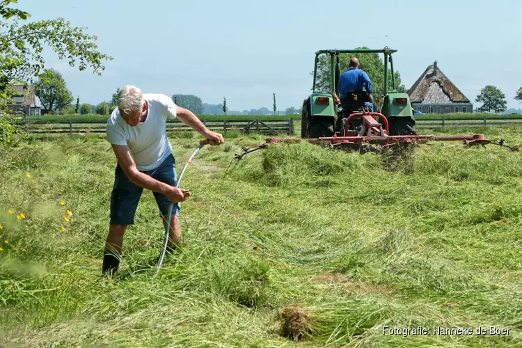 Historisch maaien op 17 mei bij het rundveemuseum in Aartswoud