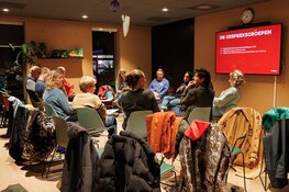 Cultuurplein 'Een sluitende begroting en volle zalen: hoe doe je dat?'