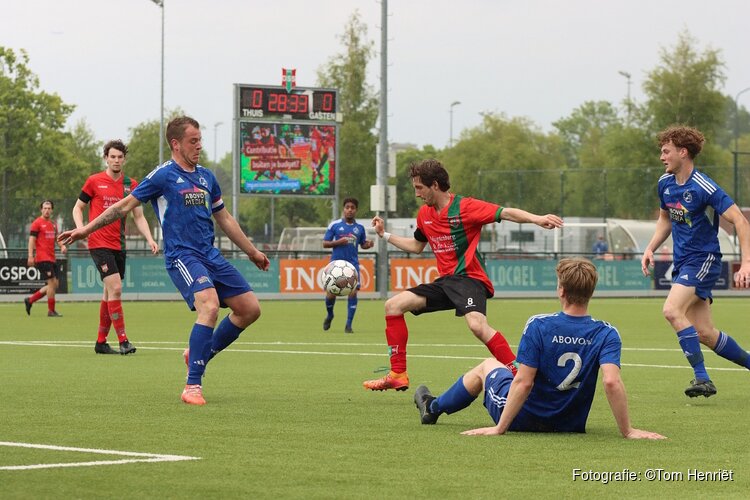 SEW niet opgewassen tegen DSS