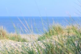 Vlieland in plaats van een volle strandpromenade: een eiland voor rustige vakanties