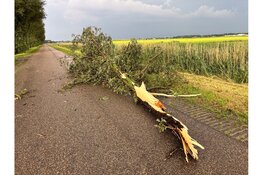 Slimweg in Hoogkarspel enige tijd volledig afgesloten door afgeknakte boom