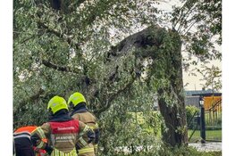 Slimweg in Hoogkarspel enige tijd volledig afgesloten door afgeknakte boom
