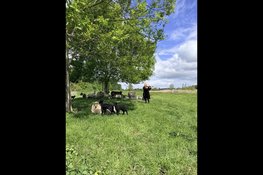Midzomeravondconcert bij MAK Blokweer op zaterdag 20 juni