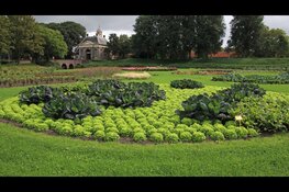 Groei & Bloeidag laat Garden op haar mooist zien