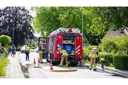 Coniferenhaag vliegt in brand bij woning in Westwoud