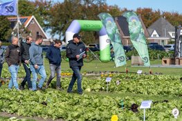 Resistentie staat centraal tijdens innovaties in bladgewassen in Twisk