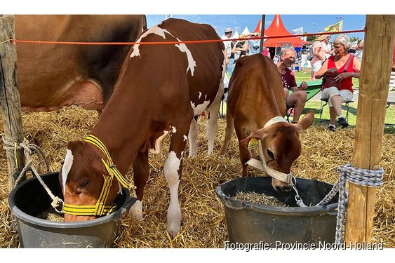 Ontmoeting, innovatie en traditie op Landbouwshow Opmeer