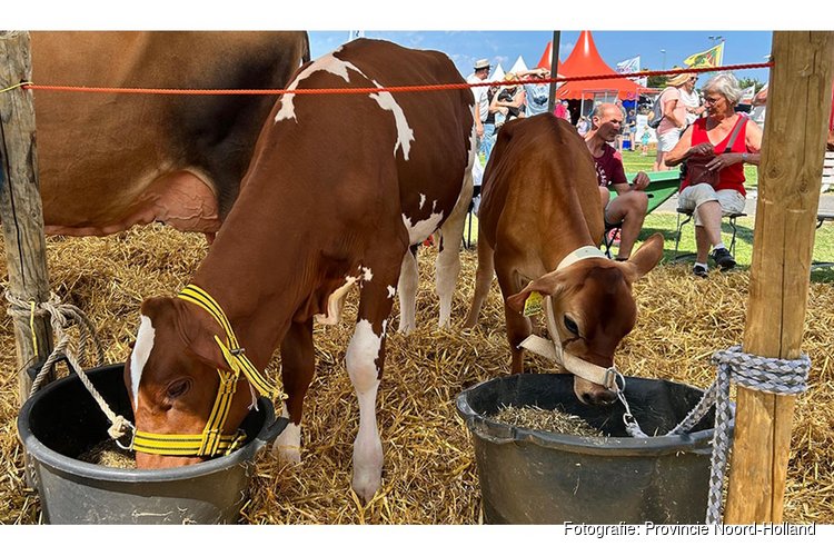 Ontmoeting, innovatie en traditie op Landbouwshow Opmeer