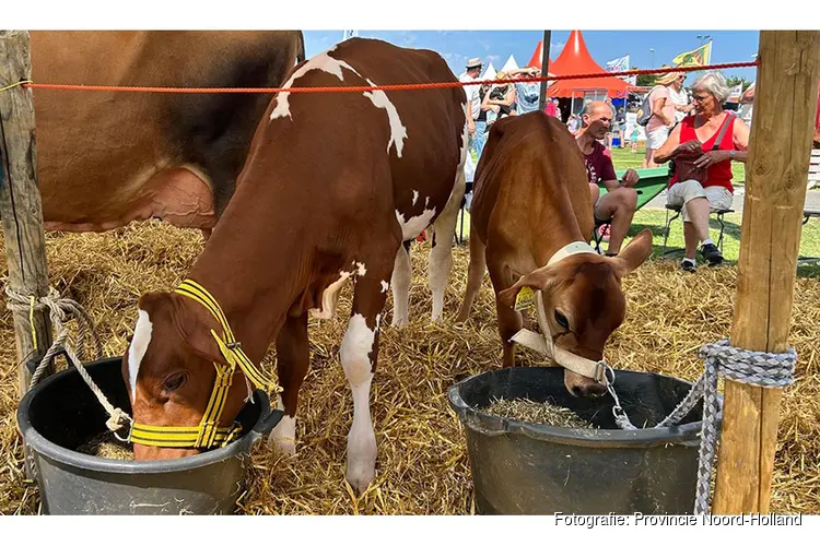 Ontmoeting, innovatie en traditie op Landbouwshow Opmeer