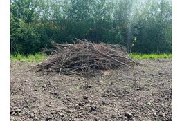 Eerste beplanting in Nijevoert voor ecologische zone