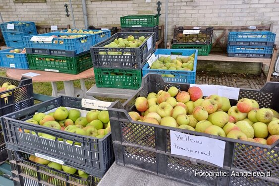 Zondagmiddag 20 september uniek fruit uit eeuwenoude boomgaard museumboerderij Welgelegen te koop
