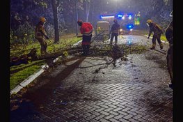 Brandweer verwijdert omgevallen boom van weg in Bovenkarspel