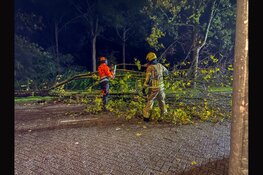 Brandweer verwijdert omgevallen boom van weg in Bovenkarspel